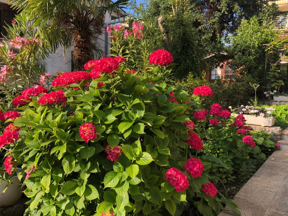 Casa Hortensia Njivice Esterno foto
